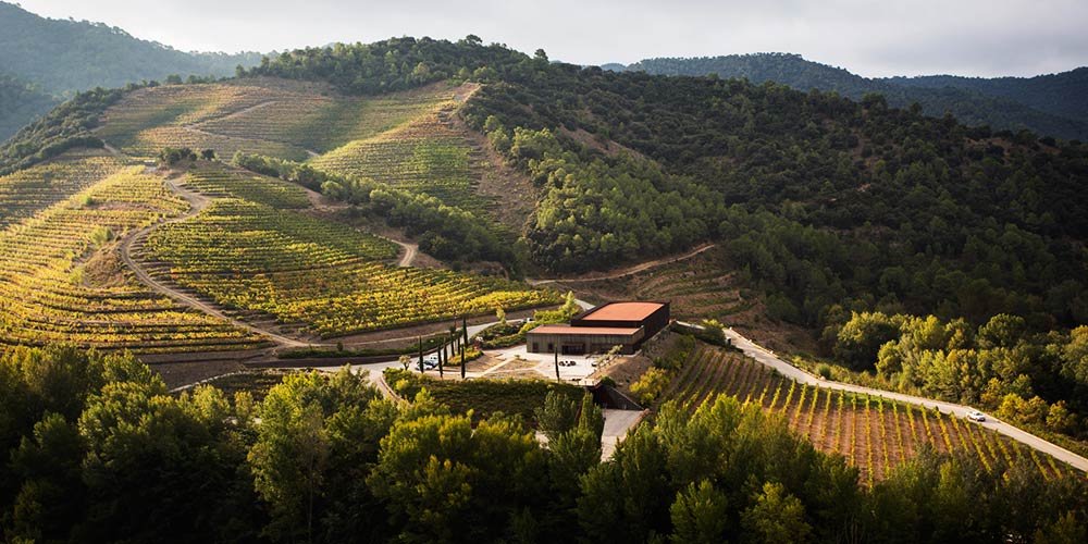 Al segle XVIII, la família francesa Perinet es va establir a les terres, on actualment es desenvolupa el projecte vitivinícola, el qual dona el seu nom. Perinet inicia la seva activitat l’any 1998 i es reinventa el 2014 de la mà dels nous propietaris. Les finques de Perinet compten amb més de 30 hectàrees, on es cultiven les varietats Garnatxa, Carinyena, Syrah, Cabernet i Merlot, en terrasses de grans pendents. Els vins de Perinet s’elaboren al celler Perinet, de la DOQ Priorat i al celler Clos Maria, de la DO Montsant. Aquest edifici, de disseny modern i grans dimensions, situat a la regió vitivinícola de Poboleda, és considerat un referent de la zona. ENÓLOGO: Antoni Sánchez-Ortiz nació el 4 de diciembre de 1978 en un pequeño valle del Pirineo. Estudió enología en la Universidad de Tarragona y la Universidad Victor Segalen en Burdeos. Durante veinte años ha trabajado a tiempo completo dentro del exigente contexto de la producción de vinos de gran proyección internacional, como enólogo y viticultor en la prestigiosa DOQ Priorat. Es conocido por la elaboración de excelentes vinos con una personalidad única por la expresión de las variedades locales. Su convicción parte de la idea que un gran vino es el resultado de un conocimiento íntimo de la tierra y de una experiencia completa en el manejo del viñedo. En su tesis doctoral, Antoni Sánchez-Ortiz continúa profundizando su conocimiento sobre cómo los vinos de Priorat se ven afectados por el cambio climático. También aporta a Perinet amplias habilidades técnicas y de laboratorio, perfeccionadas en su Máster en Química por la Universidad de Barcelona. Antoni Sánchez-Ortiz se une al equipo de Perinet en 2015 para dirigir el trabajo del viñedo y el proceso de elaboración del vino. La profesionalidad, las habilidades comunicativas y su experiencia técnica lo convertirían en una valiosa incorporación a cualquier bodega con proyección internacional.