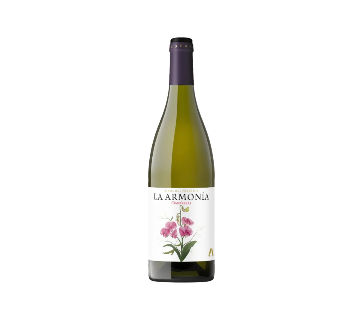 Vino La Armonía 2024 es un monovarietal 100 % chardonnay procedente de viñedos ecológicos de la D.O. Costers del Segre a l'Alternativa Andorra de Raventós Codorniu

Vinos del Paseante, la colección de vinos singulares de diferentes denominaciones de origen españolas de Raventós Codorníu, lanza La Armonía, un monovarietal 100 % chardonnay. Se trata del primer vino de esta gama que tiene como origen la D.O. Costers del Segre. 

Las uvas de La Armonía proceden de viñedos propios ecológicos en los que no se utilizan herbicidas sobre las cubiertas vegetales ni se aplican acciones mecánicas que remuevan los suelos. Su añada, 2024, se vendimió durante la noche, lo que permitió que llegara a bodega a temperatura baja para conservar todos los aromas del varietal. Se trata de una cosecha de gran calidad que ha dado como resultado vinos equilibrados y aromáticamente muy expresivos y frescos.

De color amarillo brillante y lágrima densa, es un vino de gran intensidad en nariz, con aromas de pomelo y lichis, entremezclados con fruta de hueso -destacando la nectarina- y con sutiles notas de fruta tropical entrelazadas con toques cítricos que le aportan una gran frescura. 

En boca tiene una entrada redonda, con muy buen equilibrio entre volumen, acidez y longitud, a la vez que se exaltan las notas cítricas y tropicales en boca. Por ello, marida perfectamente con platos que contienen carnes blancas, pescado, marisco, arroces, pastas y ensaladas. 

Vinos del Paseante es una línea integrada por referencias de diferentes denominaciones de origen españolas seleccionadas con el objetivo de descubrir lo inédito de cada territorio y maravillar con su carácter auténtico y preciso. Además de la reciente incorporación de La Armonía, forman parte de esta colección de vinos de Raventós Codorníu: La Treta (garnacha negra y cariñena) y L’Encís (garnacha blanca y sauvignon blanc), de la D.O. Empordà; La Escucha (mencía), de la DO Bierzo; La Charla (verdejo), de la D.O. Rueda; El Pispa (garnacha negra y cariñena), de la D.O. Montsant y La Trobada, (monastrell) de la D.O. Alicante. 

La colección se inspira en la figura del Paseante, una persona curiosa y vital que recorre diferentes viñedos del país para localizar nuevos vinos y nuevas emociones. El fruto de su búsqueda está destinado a personas como él, con sed de conocimiento, conscientes de la trascendencia del territorio y de la historia, e inclinadas por naturaleza al placer y al saber. Con La Armonía, se suma a este camino la D.O. Costers del Segre, un mosaico formado por siete territorios repartidos a lo largo de toda la cuenca del río Segre y del Pirineo de lerida.
