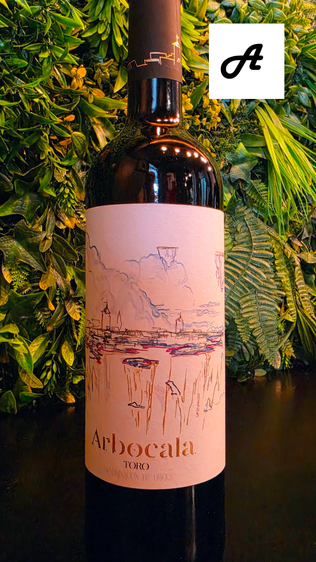🍷✨ VI ARBOCALA · L’ALTERNATIVA ANDORRA A L’Alternativa Andorra et presentem un vi que agrada des del primer glop: el vi Arbocala, un negre de la D.O. Toro elaborat amb raïm 100% Tinta de Toro i criat durant 10 mesos en bota. Un vi amb història, identitat i una elegància que el fa únic. 🍇 Caràcter i expressió de la Tinta de Toro Tot i ser una varietat potent, l’Arbocala sorprèn per ser especialment fruiter, golós i fresc. Un equilibri perfecte entre intensitat i suavitat. 🔥 Fusta i fruita en harmonia La seva criança en roure francès i americà li aporta un perfil aromàtic molt complet: Fruita vermella madura (maduixa, cirera) Fruita negra Notes de vainilla, cafè i cacau 👄 En boca: sedós, llarg i elegant Atac suau, tanins polits i sedosos, i un final llarg que convida a seguir bevent. Un vi que combina força i delicadesa amb una naturalitat sorprenent. 🏛️ Origen amb llegenda El seu nom ret homenatge a Arbocala, una antiga ciutat celta-romana considerada l’antecedent de l’actual Toro. Un vi amb ànima i història. 🍽️ Vols tastar-lo a L’Alternativa? Et puc ajudar a trobar els millors maridatges per gaudir-lo al màxim: Carns a la brasa Formatges curats Plats de proximitat Un vi així mereix un bon acompanyament… i a L’Alternativa el trobaràs. #LAlternativaAndorra #Arbocala #DOToro #ViNegre #TintaDeToro #GastronomiaAndorra #Maridatges