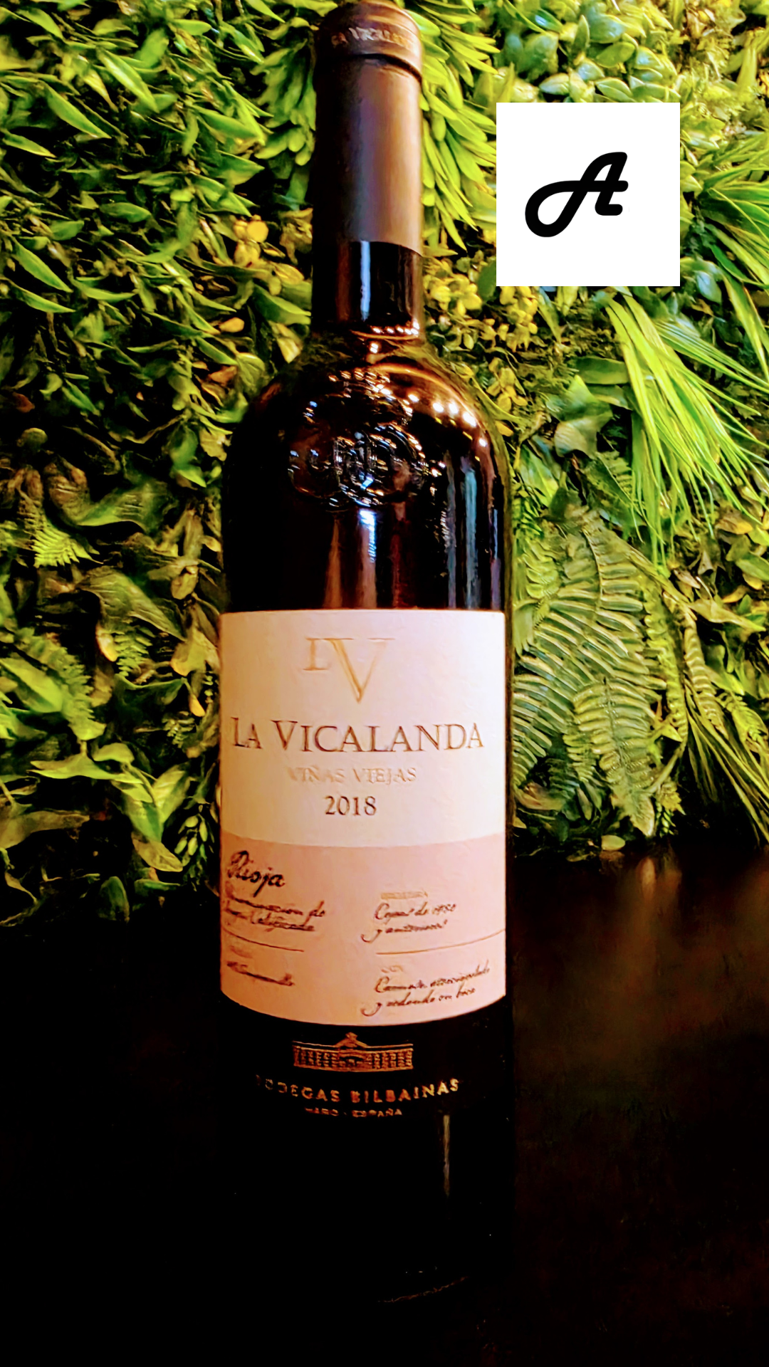 🍷🔥 L’ALTERNATIVA ANDORRA — LA VICALANDA RESERVA 2018, UN RIOJA QUE VA NÉIXER PER SER ICÒNIC Hi ha vins que expliquen una història… i n’hi ha d’altres que la reescriuen. La Vicalanda Reserva 2018 és un d’aquests vins: un projecte pioner que, des del 1994, va decidir trencar amb el vi de Rioja clàssic per apostar per més potència, més profunditat i 100% roure francès. Un estil propi, modern, intens… i absolutament captivador. 🏰 Origen i filosofia Elaborat per Bodegas Bilbaínas (Grup Codorniu), al mític barri de l’Estació d’Haro, aquest vi representa la voluntat d’un celler històric d’explorar una nova expressió de l’Ull de llebre. Vinyes pròpies, selecció rigorosa i una criança pensada per donar estructura, elegància i longevitat. 🛠️ Característiques de l’anyada 2018 100% Ull de llebre procedent de vinyes pròpies. Criança de 14 mesos en botes noves de roure francès Allier (torrat mitjà). Afinament de 24 mesos en ampolla abans de sortir al mercat. Graduació alcohòlica: 14% vol. 👁️👃👄 Nota de tast Visual — Granat intens, reflexos purpuris, capa alta. Profunditat i densitat que ja anuncien el seu caràcter. Olfactiva — Elegància i complexitat: fruita negra madura, notes torrefactes, balsàmiques, espècies fines i un fons mineral perfectament integrat. Gustativa — Potent, estructurat i carnós, però amb una acidesa que l’equilibra i el fa llarg, persistent i seductor. 🍽️ Maridatge i servei Temperatura: Serveix-lo entre 16 ºC i 18 ºC. Decantació: Recomanable per obrir aromes i suavitzar tanins. Maridatges ideals: Carns vermelles Xai de llet rostit Caça Guisats estructurats Embotits ibèrics Formatges curats 🍷✨ A L’Alternativa Andorra La Vicalanda Reserva 2018 és un vi que impressiona, que parla i que deixa empremta. Si vols descobrir un vi de Rioja diferent, modern i d’alta expressió, el tenim a cop de copa. #LAlternativaAndorra #LaVicalanda #RiojaReserva #BodegasBilbainas #ViDAutor #ExperiènciesGourmet