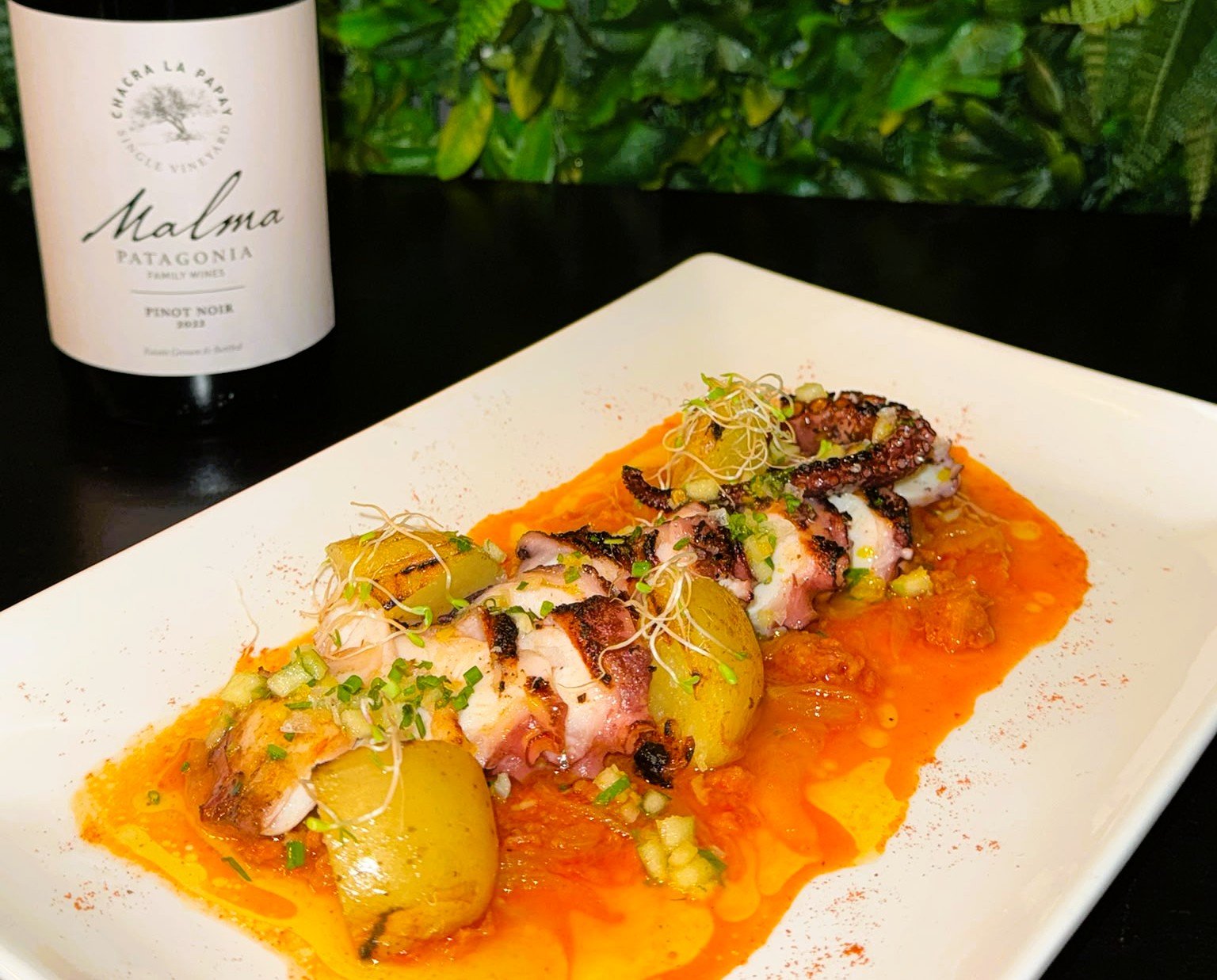 EL POP COM NO L’HAVIES TASTAT MAI 🐙🔥🍷HEU de PROVAR AQUEST PLAT. Hi ha maridatges que simplement funcionen. I n’hi ha d’altres que creen una experiència gastronòmica difícil d’oblidar. Aquest espectacular pop gallec a la brasa combina la intensitat del foc amb una elaboració plena de matisos. Sobre una base de ceba caramel·litzada amb sobrassada, que aporta dolçor, profunditat i caràcter, descansa un pop tendre i marcat a la perfecció a la brasa. El toc diferencial arriba amb la seva “gremolata” de poma verda, una reinterpretació fresca i contemporània de la recepta italiana tradicional. Elaborada amb petits daus de poma Granny Smith, herbes aromàtiques i notes cítriques, aporta una explosió de frescor, acidesa equilibrada i un punt cruixent que potencia cada mossegada. I per completar l’experiència, res millor que una copa de Malma Reserva de Família Malbec, un vi elaborat a la Patagònia argentina per la Família Viola. El nom Malma significa orgull, un homenatge al camí recorregut i a la passió amb què es treballa cada vinya. Elaborat exclusivament amb raïm de producció pròpia, reflecteix la personalitat del seu terrer i l’atenció absoluta a cada detall. La intensitat i elegància del Malbec harmonitzen a la perfecció amb el caràcter fumat del pop, la dolçor de la ceba caramel·litzada i les notes fresques i cítriques de la “gremolata” de poma verda. Una proposta pensada per als qui busquen alguna cosa més que un àpat: una autèntica experiència gastronòmica. 📍 Alternativa Andorra: 🍴 Cuina creativa, producte de qualitat i maridatges que emocionen. #AlternativaAndorra #PopALaBrasa #MalmaMalbec #GastronomiaAndorra #FoodieAndorra
